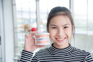 child holding a model of teeth